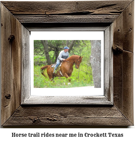 horse trail rides near me in Crockett, Texas